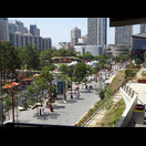 Einer der vielen Parks in Sydney